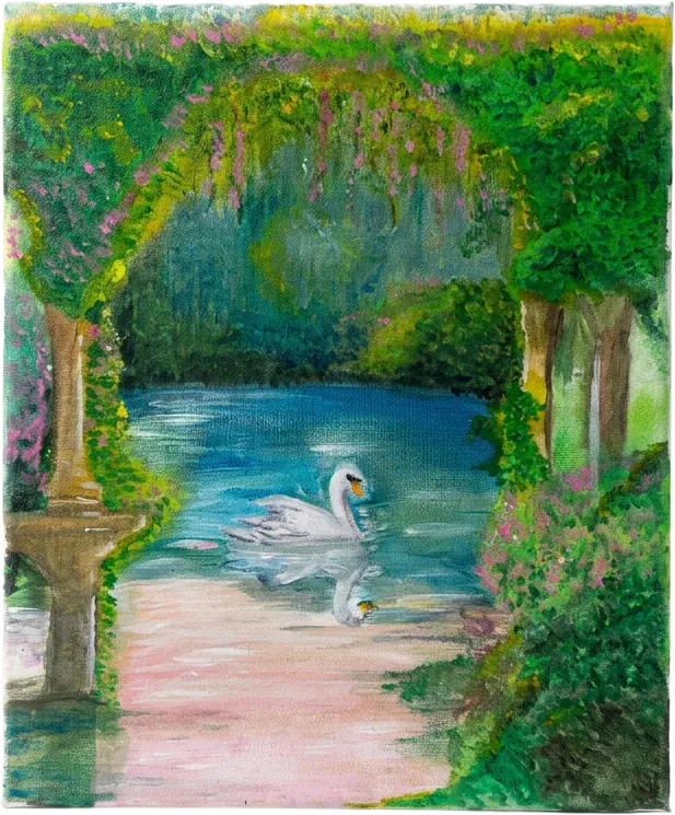 A swan on green water under a stone arch hung with wisteria